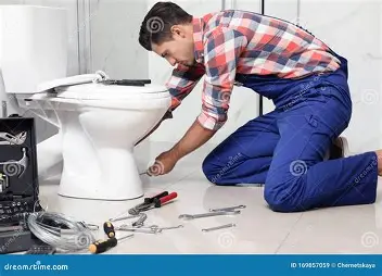 Professional Plumber at Work